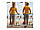 Спортивный летний костюм Tommy H.   (шорты + футболка)   5 цветов, фото 3