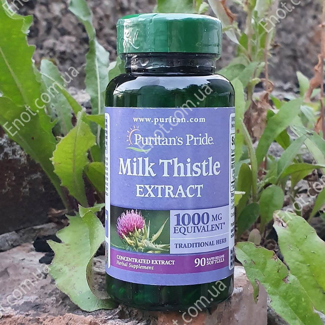 Расторопша Milk Thistle