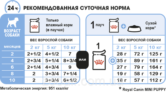 Рекомендуемая суточная норма влажного корма для щенков Роял Канин