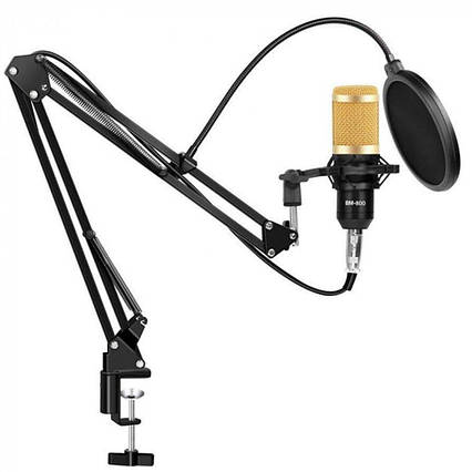 Профессиональный студийный микрофон M 800 / Конденсаторный микрофон с пантографом и ветрозащитой, фото 2