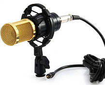 Профессиональный студийный микрофон M 800 / Конденсаторный микрофон с пантографом и ветрозащитой, фото 2