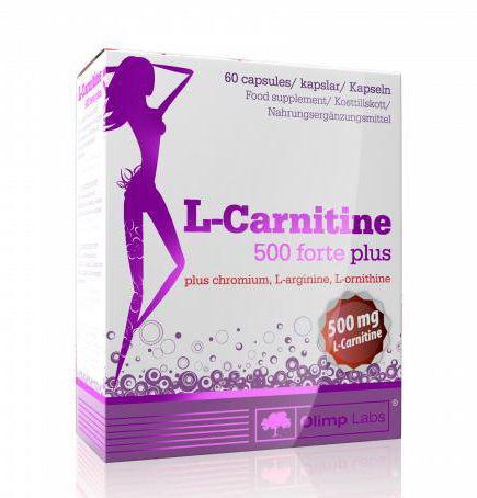 

OL L-Carnitine 500 forte plus - 60 caps