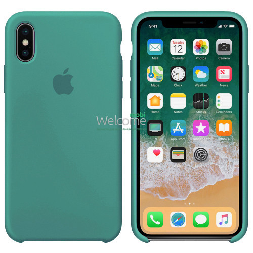 

Silicone case for iPhone XR (61) cactus