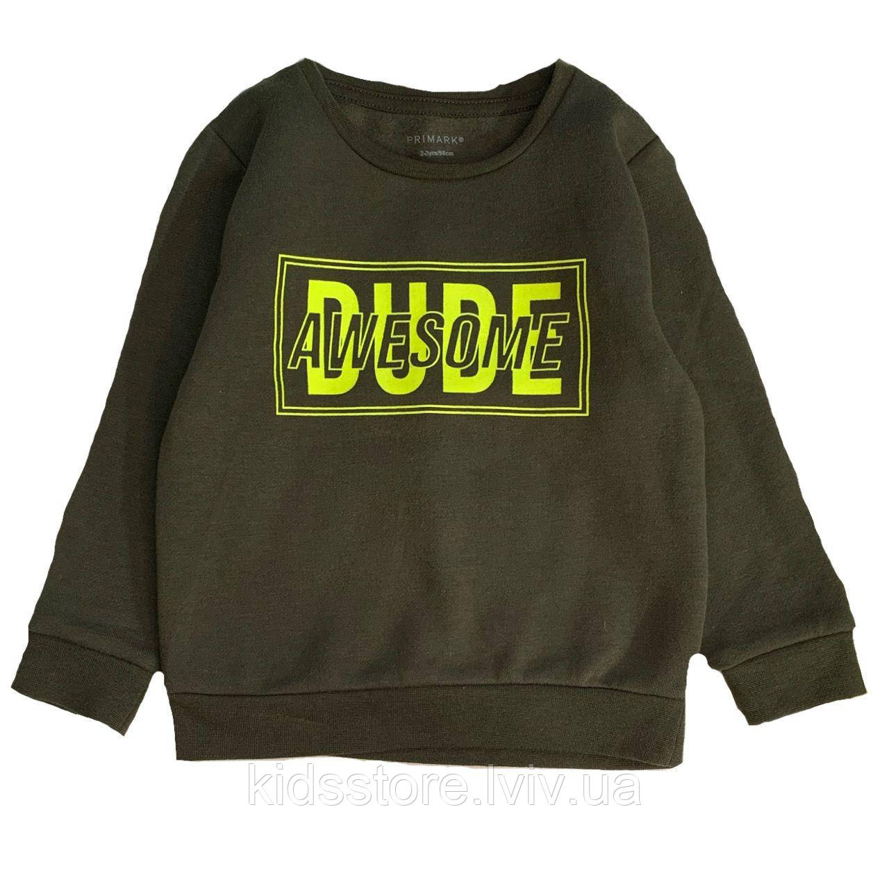 

Свитшот утепленный для мальчика Dude awersome, Primark, 9237946