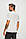 Футболка чоловіча Calvin Klein, біла кельвін кляйн, фото 4