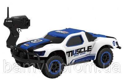 

Машинка HB Toys Muscle радиоуправляемая, масштаб 1к43 полноприводная синяя SKL17-139559