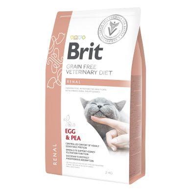 

Сухой корм для кошек, при заболеваниях почек Brit GF Veterinary Diet Renal 2 кг (яйцо)