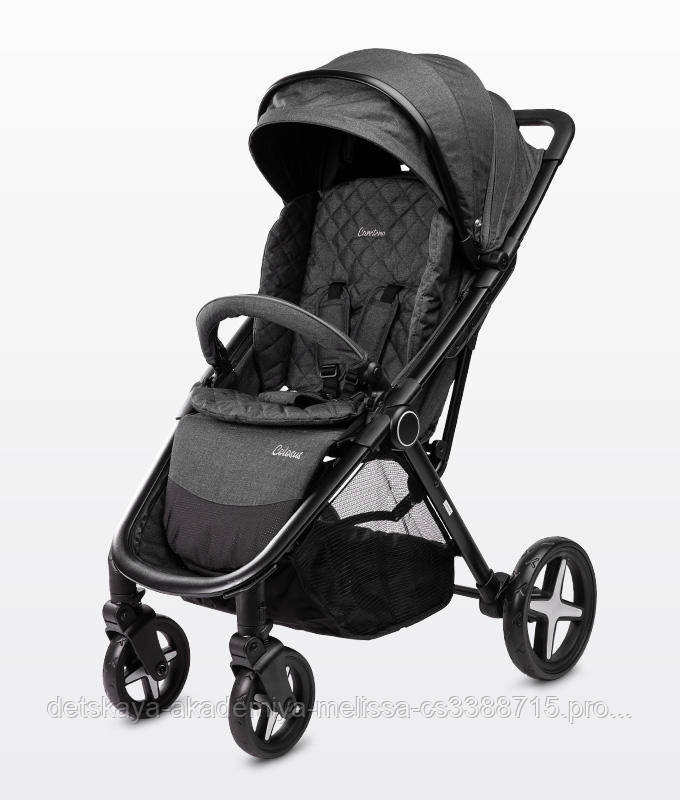 

Детская прогулочная коляска Caretero Colosus graphite