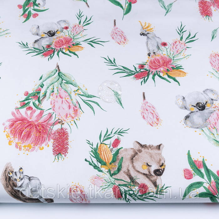 Ткань бязь "Коалы, мишки и попугаи на цветах" на белом фоне (№3526)