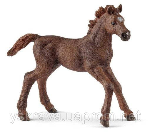 

Фигурка Schleich Английский чистокровный жеребенок (13857)