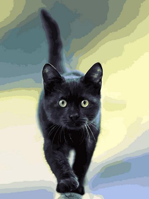Картини за номерами 30×40 см Babylon Чорний кошеня (VK 273)