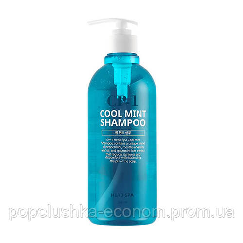 

Освежающий шампунь с ментолом для проблемной кожи головы Esthetic House CP-1 Head Spa Cool Mint Shampoo 500 мл