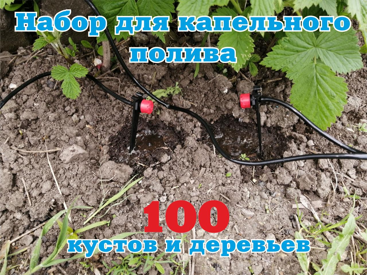 

Набор для капельного полива 100 кустов и деревьев (N100K100)