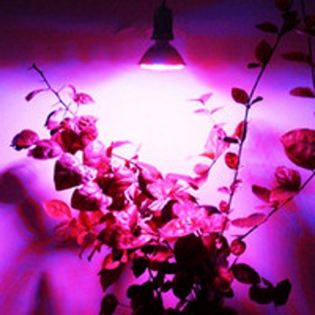 Фитолампы Led Full 45W E27 Фитолампы Led Full 45W E27