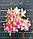 Орхидеи. Сорт Miki Golden Sand peloric, горшок размер 2.5" без цветов, фото 6
