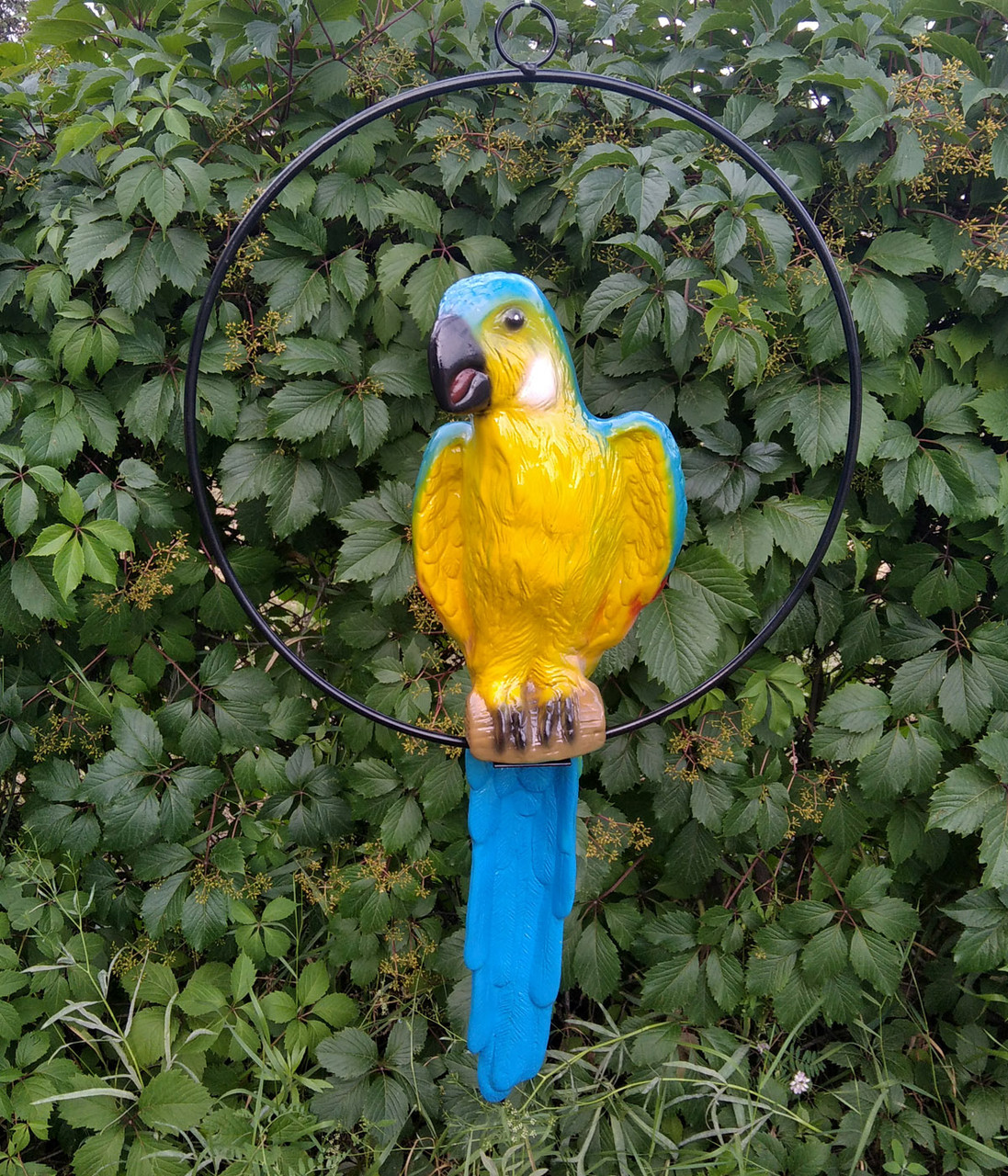 Садова фігура Попуга в кільці блакитний метал+кераміка 59 см