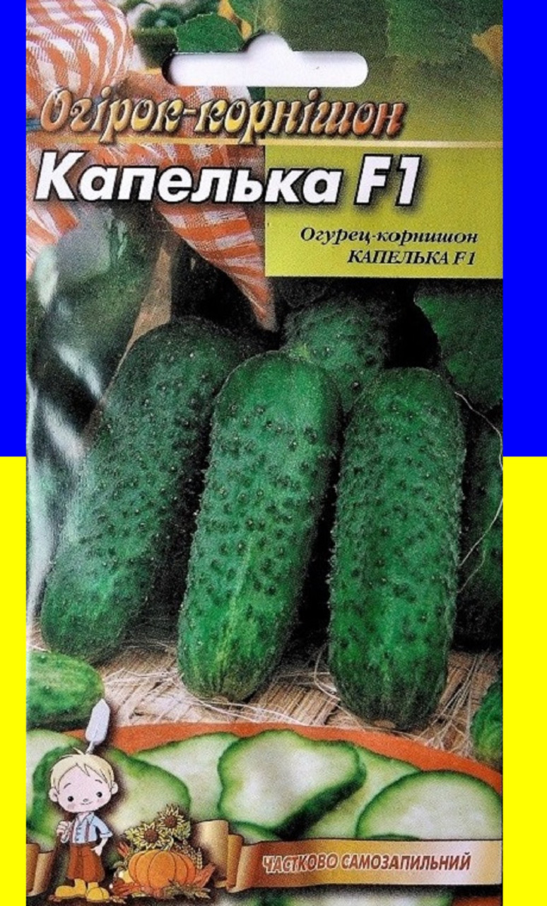 Огурец Капелька Фото Огурец Капелька Фото