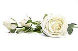 Штучна троянда-гілка, тканина,пластик, 73 см, білий (630058), фото 2