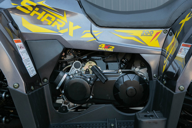 Квадроцикл ATV SharX 200 двигун