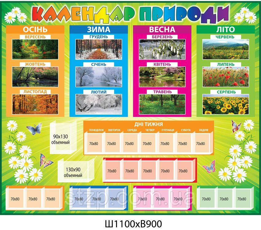 Календар природи Ромашки