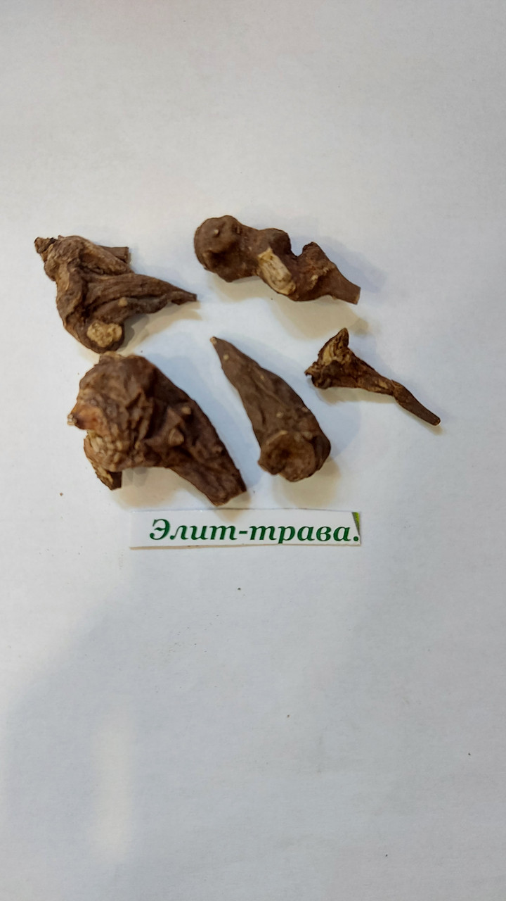 

Аконит джунгарский корень 10 грамм (Алтай)