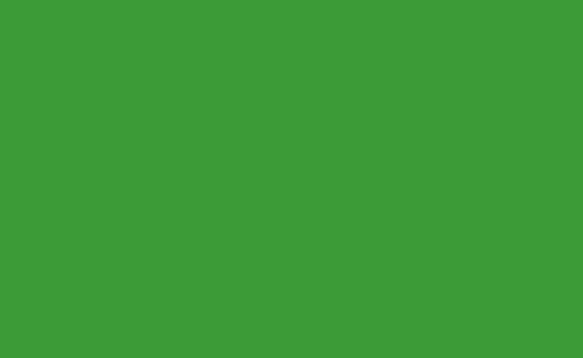 BD132 (Veri Green) Зелений - Хромакей Паперовий студійний фон BD