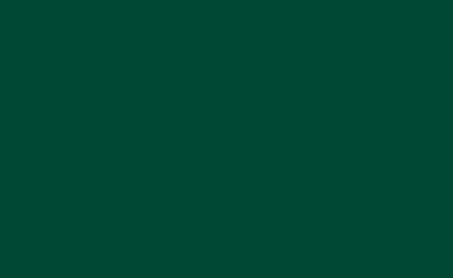 BD137 (Jade) Темно-Зелений Паперовий студійний фон BD