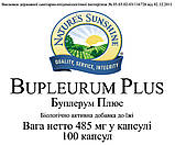 Bupleurum Plus Буплерум Плюс, NSP, НСП, США. Протизапальну, антиалергічну, заспокійливу., фото 3