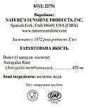 Астрагал, НСП, Astragalus NSP, США, 150 капсул, фото 2