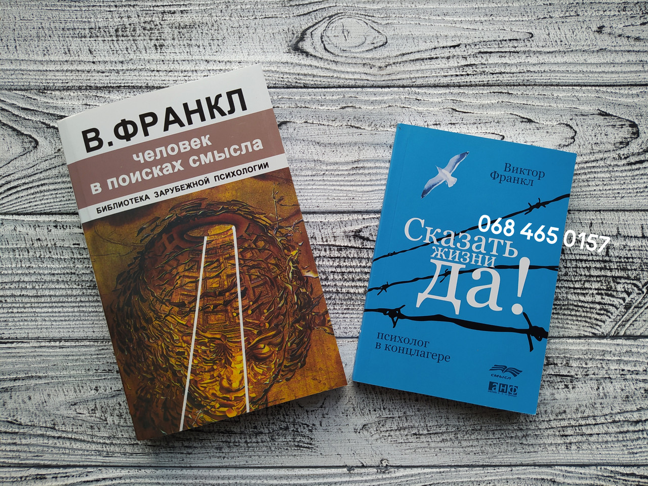 Человек в поисках смысла отзывы. Виктор Франкл сказать жизни да. Человек в поисках смысла книга.