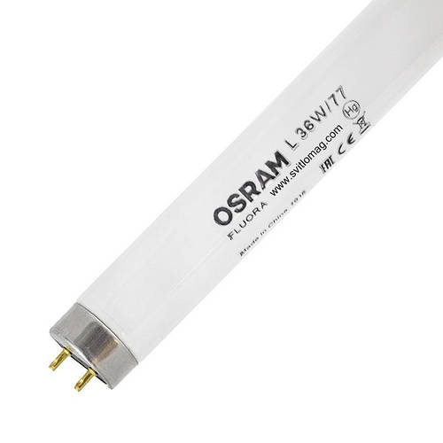 Лампа люминесцентная для растений и водорослей L 36w/77 OSRAM FLUORA G13,  цена 222 грн - Prom.ua (ID#1312255853)