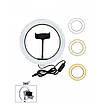 Комплект набор блогера кольцевая LED лампа 26см со штативом и селфи палкой + микрофон петличка, фото 4