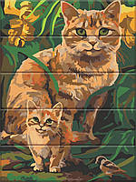 Картина за номерами на дереві "Руді котики" 30*40 см, фото 1