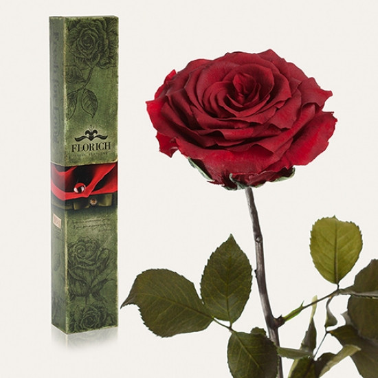 Долгосвежая роза Багровый Гранат 7 карат (короткий стебель)