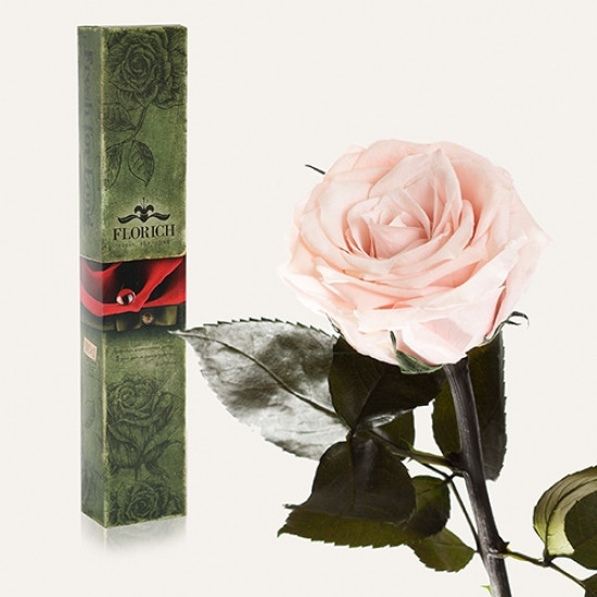 Долгосвежая роза Розовый Жемчуг 7 карат (средний стебель)