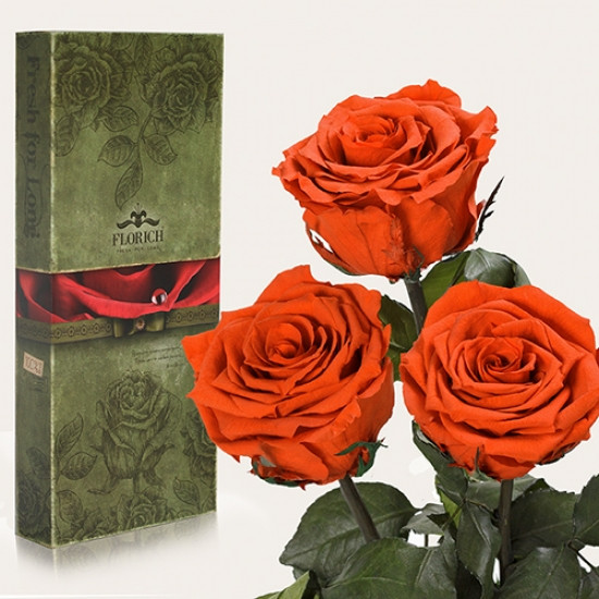 Три долгосвежих розы Огненный Янтарь 5 карат (короткий стебель)