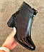 Ботинки и ботильоны женские демисезонные осенние кожаные на устойчивом каблуке, Черевики і ботильйони жіночі, фото 2