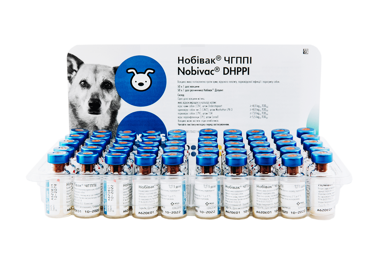 Купить вакцину нобивак для собак в москве. Нобивак DHPPI. Нобивак DHPPI для собак. Нобивак DHPPI RL для собак. Нобивак DHPPI + L для щенков.