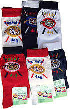 Набор детских носков для мальчика 100 хлопок с рисунком LECOBAR Голубой 21/22 (2-3 года)  23/24 (3-4  Хит!