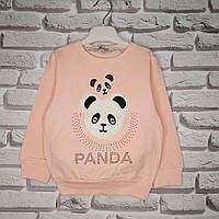 Батник детский для девочек "Panda" 2-6 лет Утепленный Цвет розовый