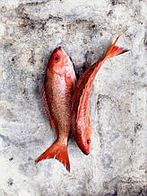 Обладнання для переробки червоної риби Pisces