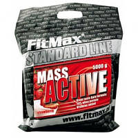 Mass Active FitMax, 5000 грам