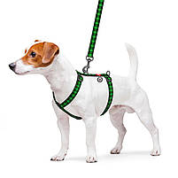 Collar (Коллар) WAUDOG Nylon - Анатомическая H-образная шлея для собак с QR паспортом (S/ A:30-40 B:30-50 см.), фото 3