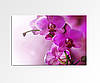Панно БЦ-стол Орхидея FP-1900 (120 x 80)