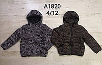 Куртка для мальчиков оптом, Sincere, 4-12 лет,  № A-1820