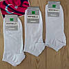 Мужские носки белые Montebello №694 Турция бамбук 41-44р. НМД-05789