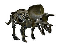 Великий скелет динозавра - Тріцератопс COG (D502)