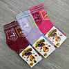 Шкарпетки дитячі махрові для дівчинки Олені 16р. асорті 30032581