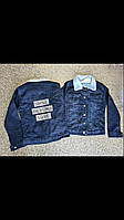 Куртка джинсова для дівчинки на махре 8-12 років синього кольору оптом