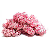 Мох натуральний стабілізований (рожевий) 530 грам